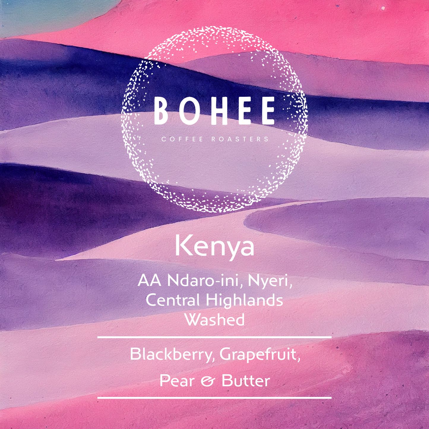 Kenya AA Ndaro-ini – Washed