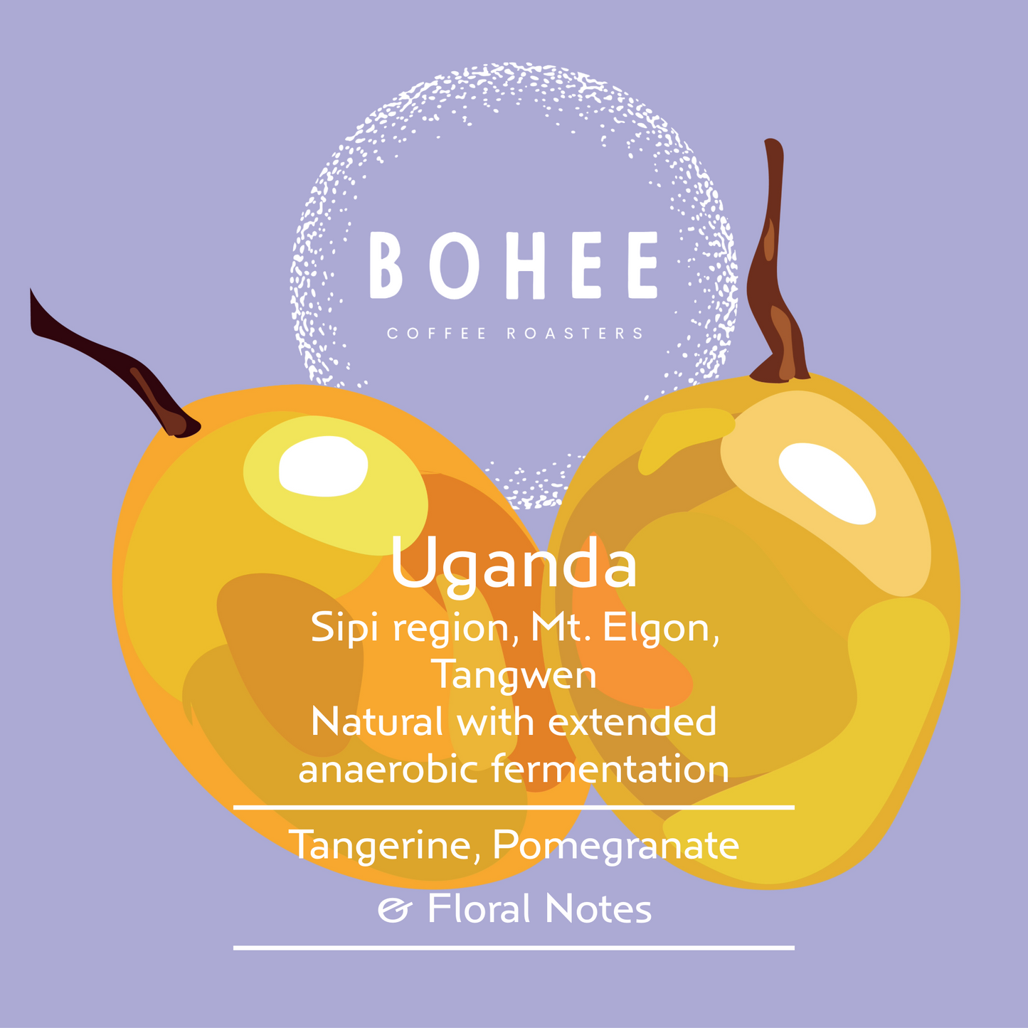 Uganda Sipi Tangwen