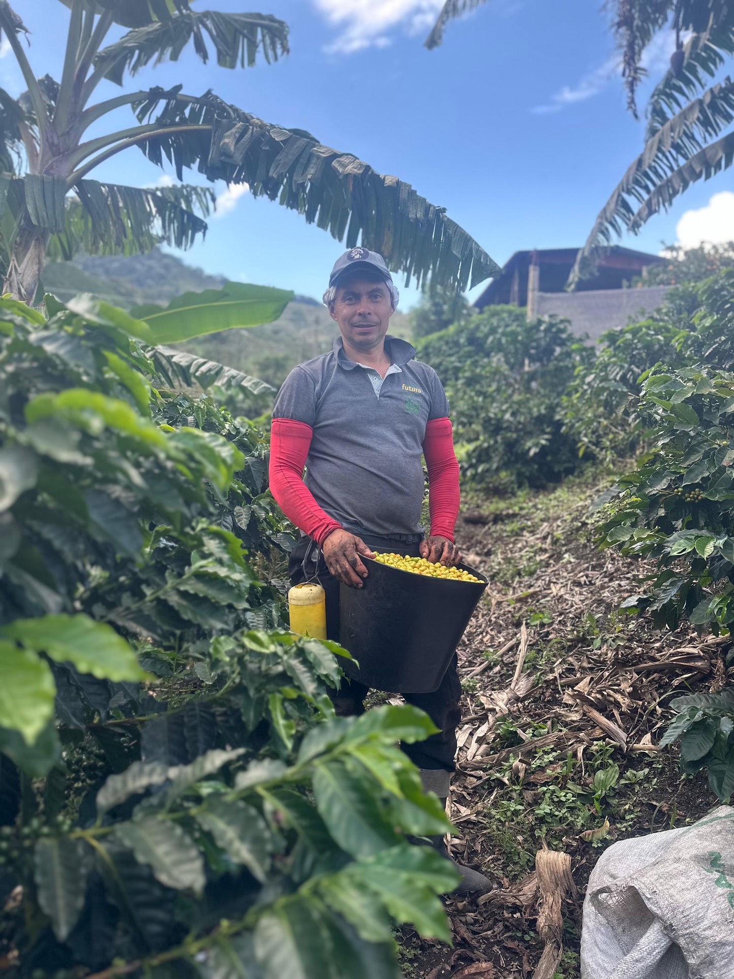 Colombia Avelino Mena