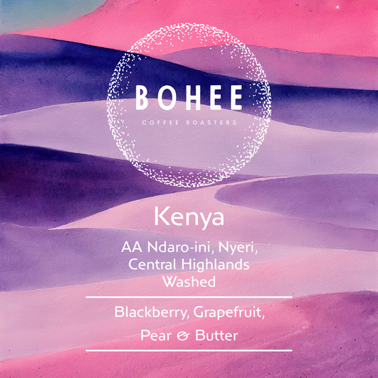 Kenya AA Ndaro-ini – Washed