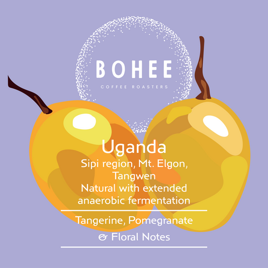 Uganda Sipi Tangwen