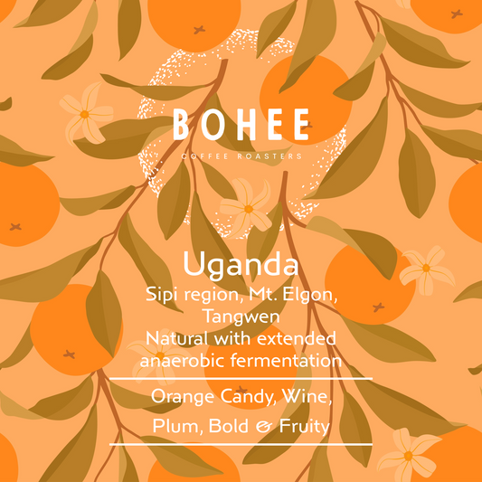 Uganda Sipi Tangwen – Anaerobic Natural