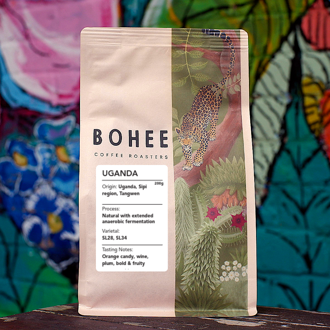 Uganda Sipi Tangwen – Anaerobic Natural