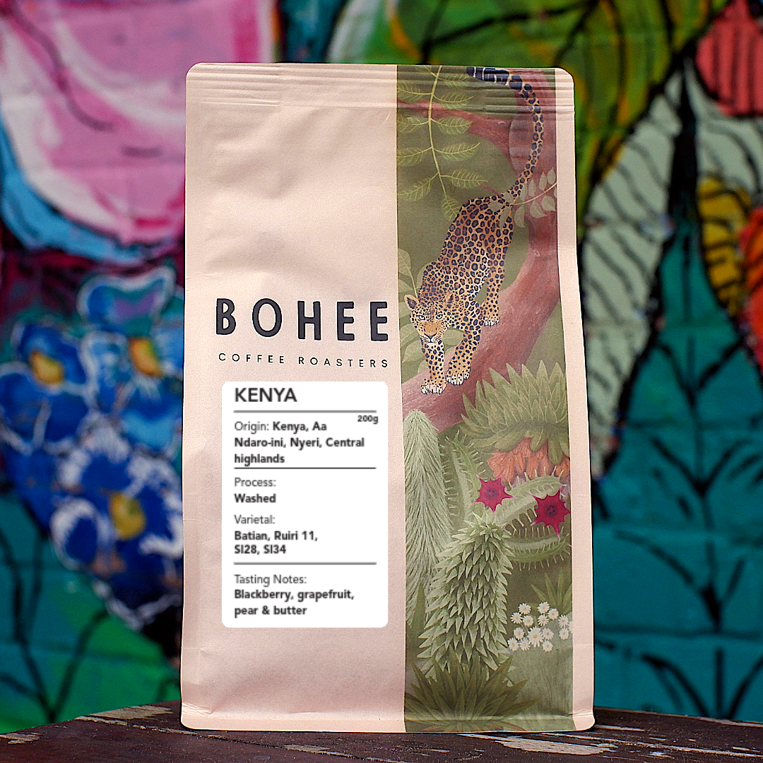 Kenya AA Ndaro-ini – Washed