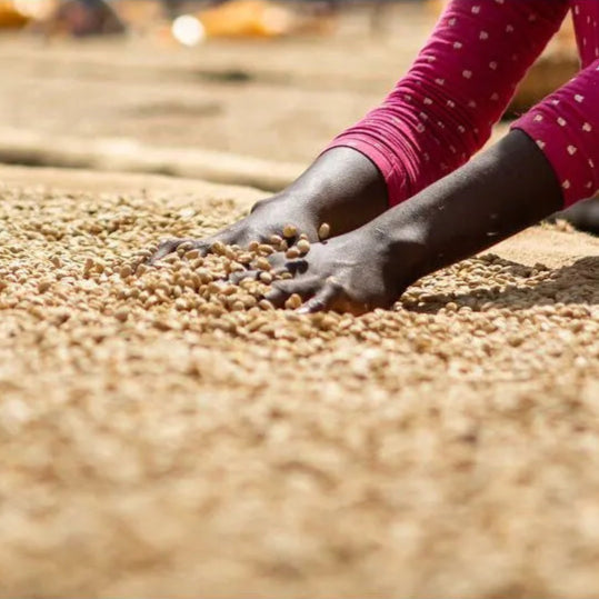 Ethiopia